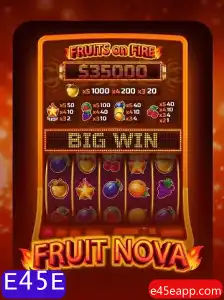 Explorando o Universo de 'FruitNova': Um Mergulho na Diversão e Estratégia