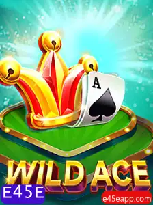 Explorando o Mundo de 'WildAce': O Jogo que Está Conquistando Todas as Idades